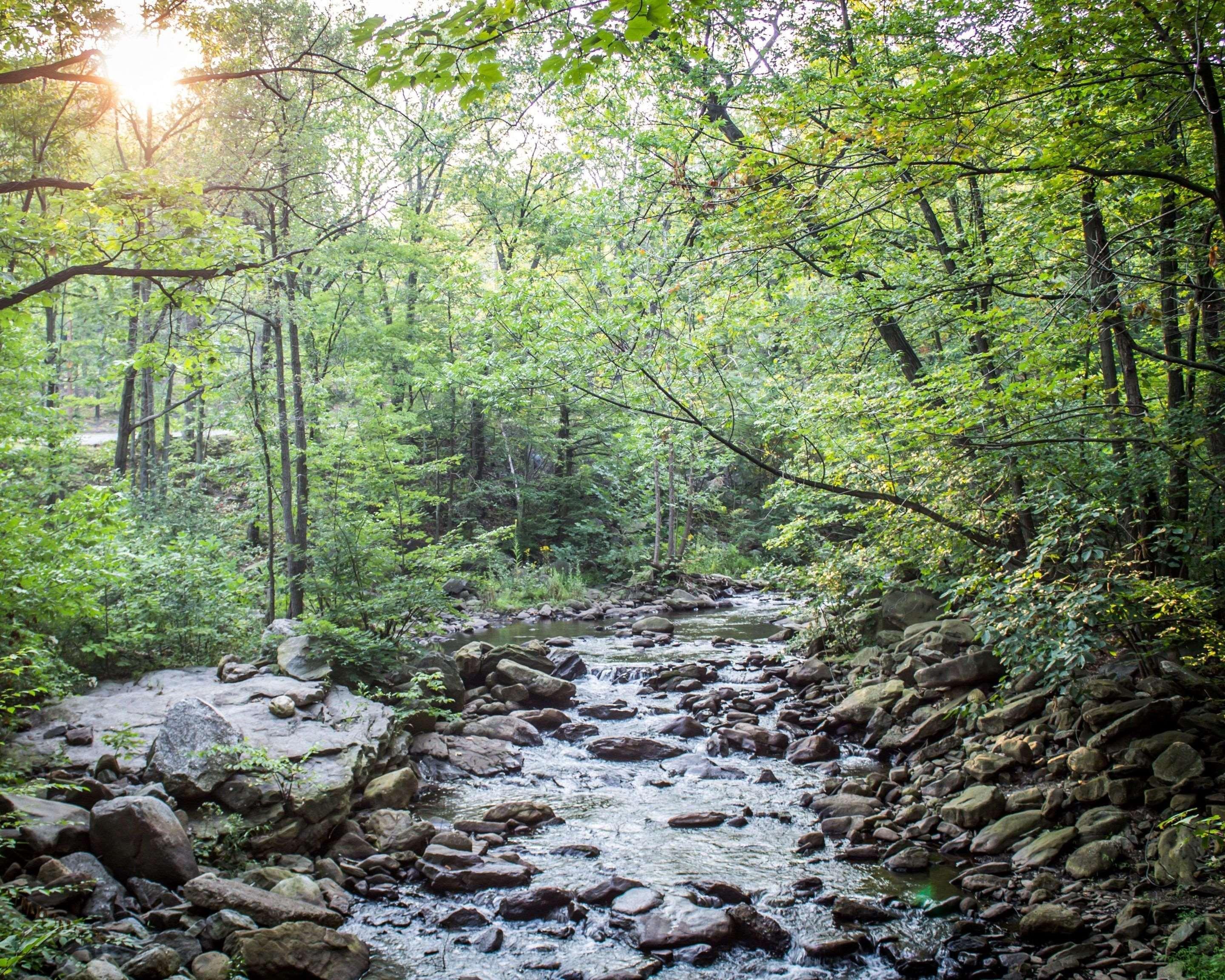The Woodlands Inn Wilkes-Barre Luaran gambar